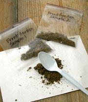 Soil Sample with Spoon